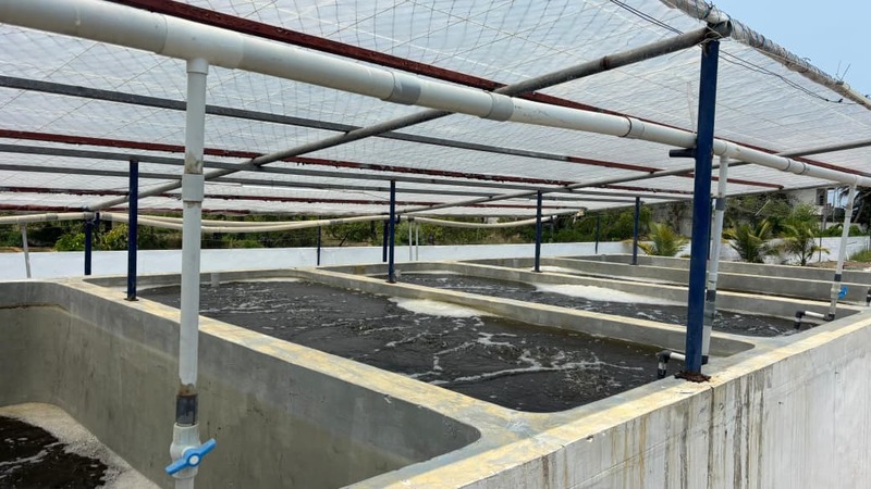 Water Treatment System