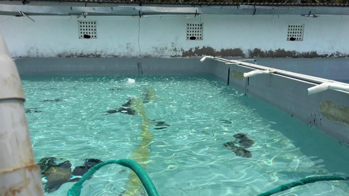 Water Treatment Facilities
